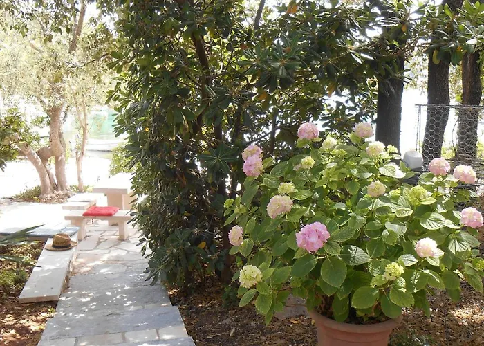 Apartamento By The Sea Zrnovska Banja - - 9131 *