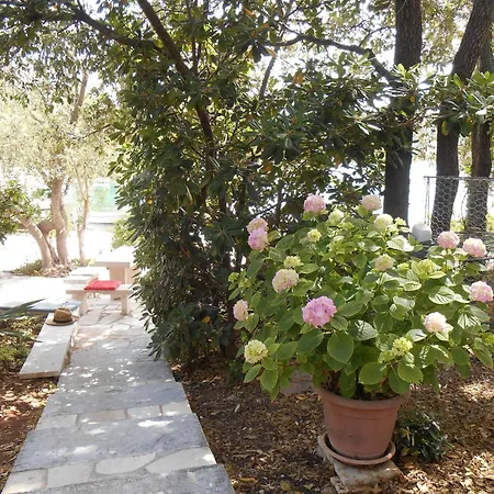 Διαμέρισμα By The Sea Zrnovska Banja - - 9131 *