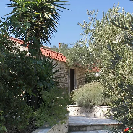 Διαμέρισμα By The Sea Zrnovska Banja - - 9131